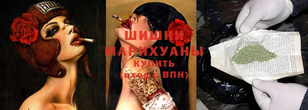 хмурый Арсеньев