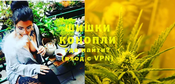 хмурый Арсеньев