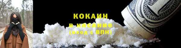 хмурый Арсеньев