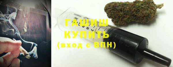 хмурый Арсеньев