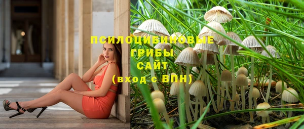 МДПВ Армянск