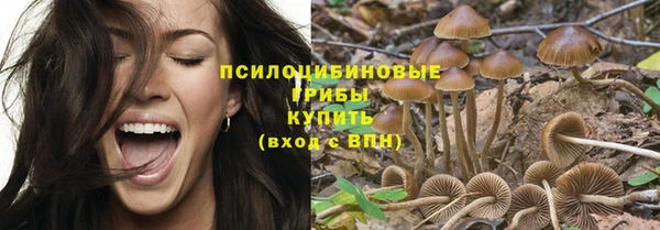 МДПВ Армянск