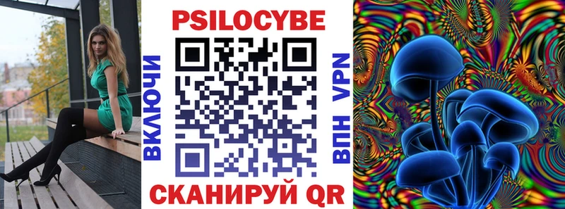 хочу   hydra ссылки  Псилоцибиновые грибы Magic Shrooms  Бабушкин 